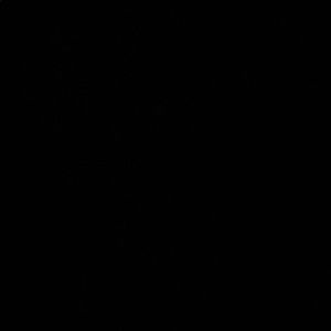 Meet your Posher, Darius